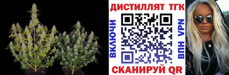 Купить  Горбатов  Дистиллят ТГК вейп с тгк 